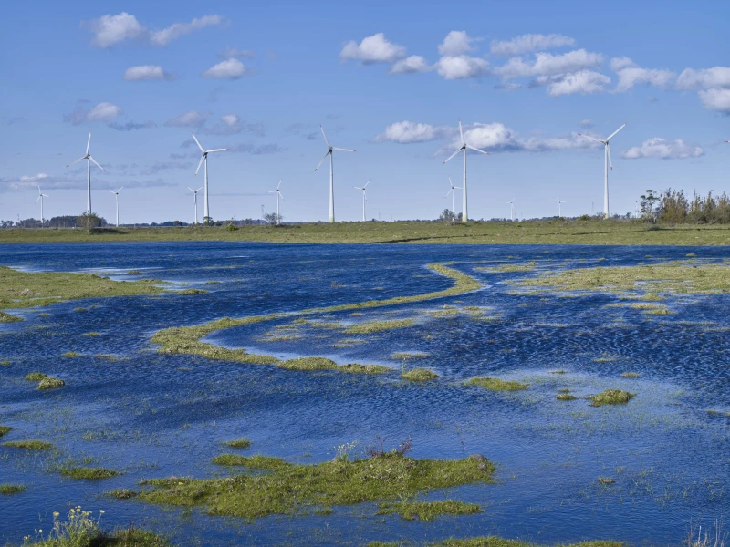 Photo par08-parques-eolicos-palmares-brasil-enerfin.webp