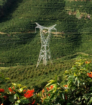 Foto de Meio Ambiente