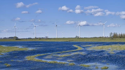 Foto de Generación de energía - eólica