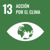 Picture of SDG-13